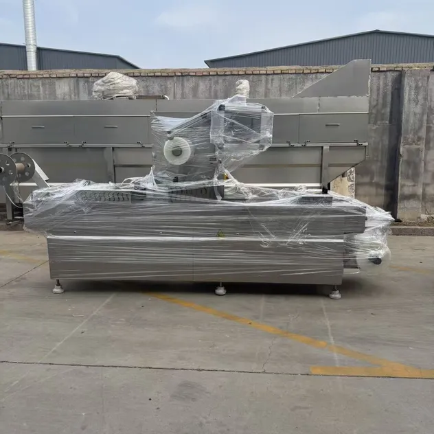 Máquina de Embalagem a Vácuo para Salmão com Filme Termoformável Flexível Automático
