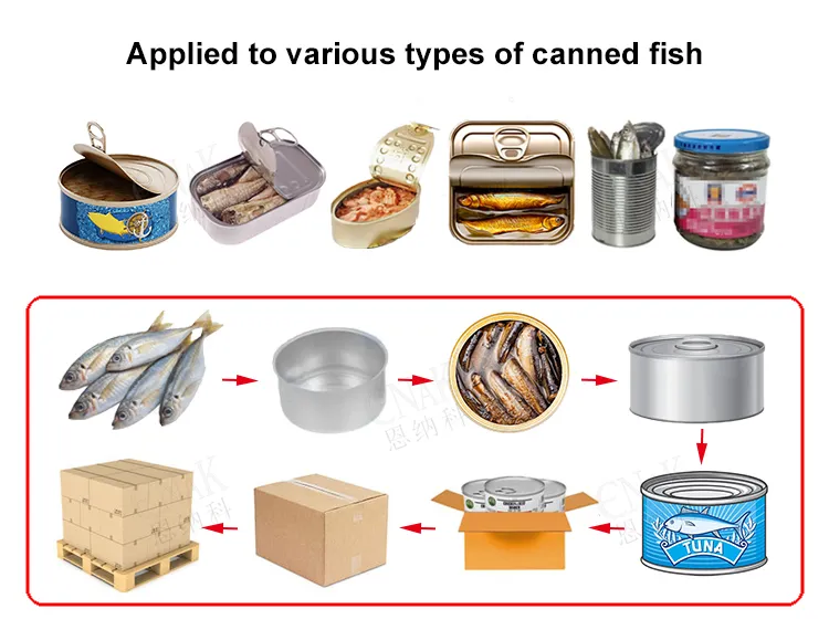 Layout da Linha de Embalagem Automática de Peixes em Lata