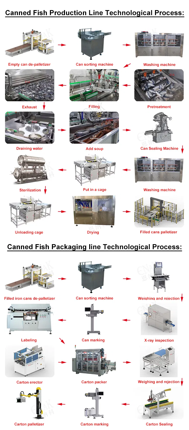 Esquema Detalhado de Processamento de Peixes em Lata