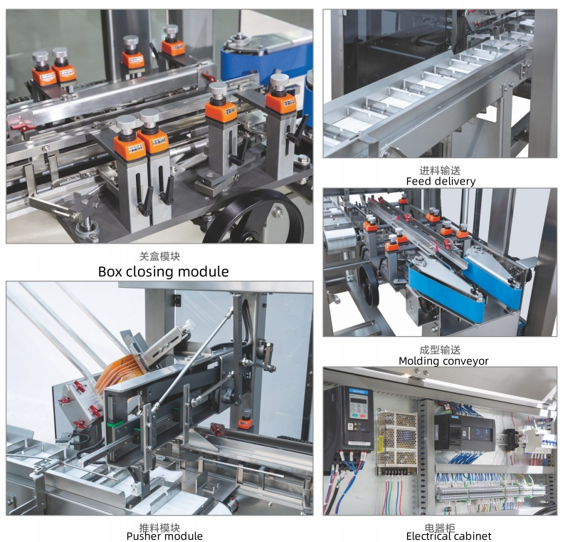 Máquina de Embalagem de Caixa de Cartonagem Automática para Snacks de Biscoito