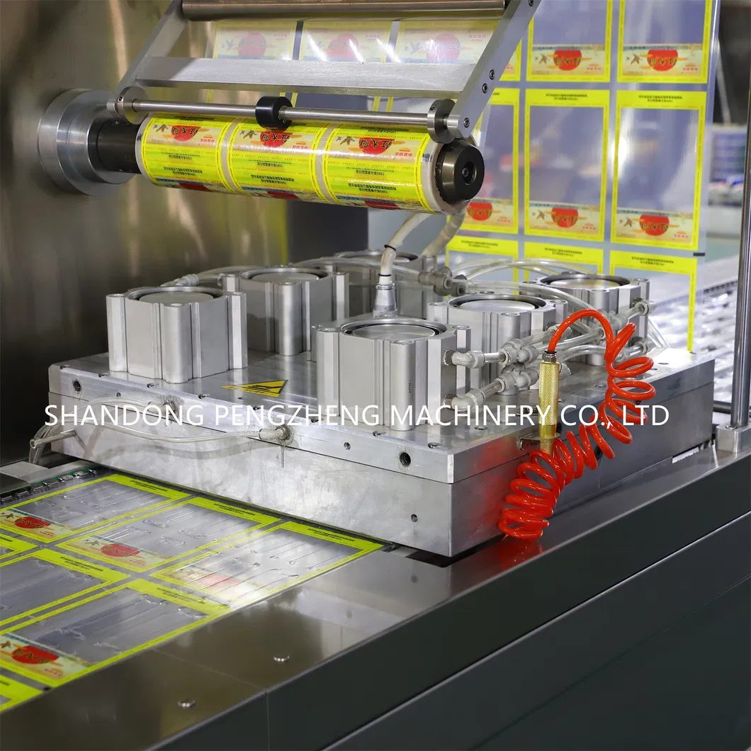 Máquina de embalagem profissional