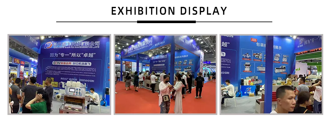 Participação em Feiras e Exposições