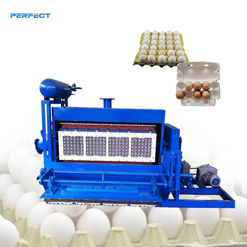 Linha de Produção de Bandejas de Ovos de Baixo Ruído Precisa para Embalagem em Fábrica de Alimentos