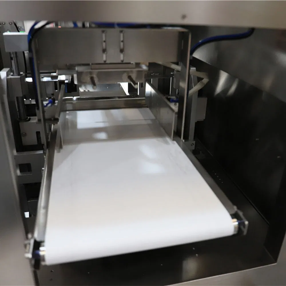 Máquina de Embalagem de Saco Pré-Fabricado para Frutas Secas, Toalha de Papel, Soquete