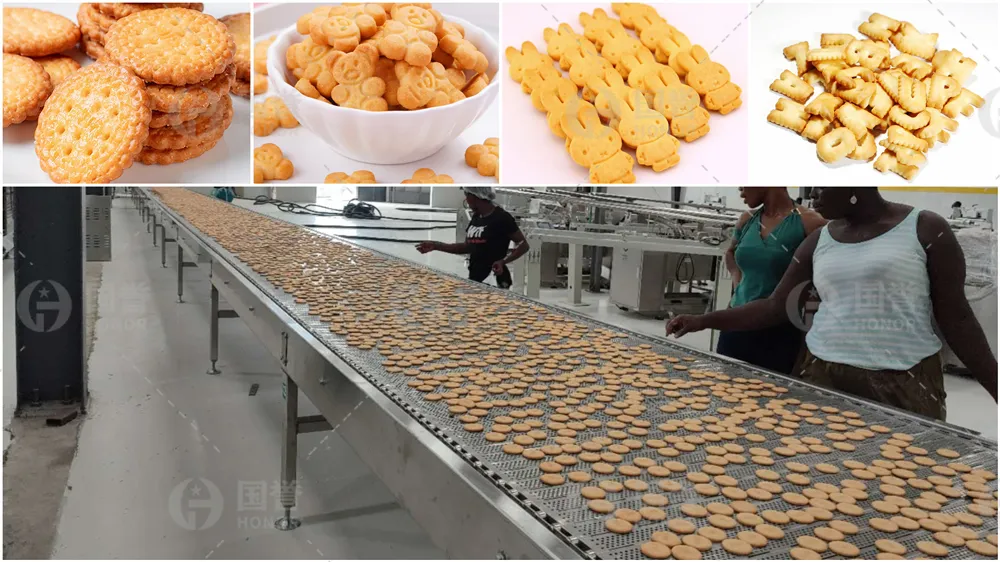 Linha de Produção Automática de Biscoitos Macios e Duros com Máquina de Embalagem de Biscoitos