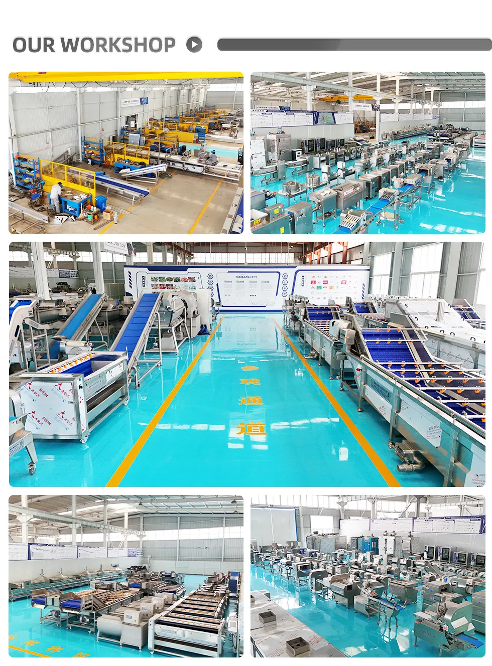Linha de Produção Industrial