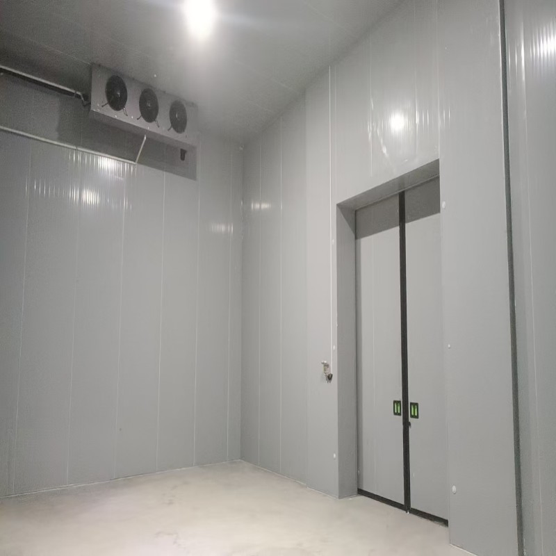 Sistemas de Congelamento Rápido com Economia de Energia Avançada e Condensadores de Alto Desempenho