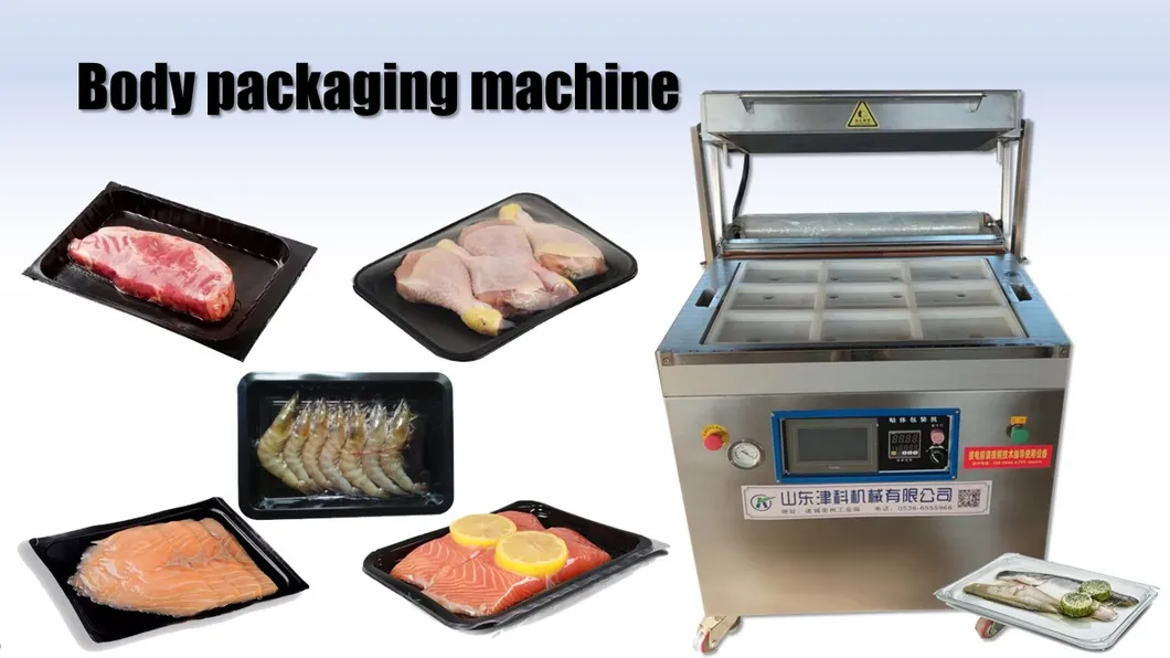 Máquina Seladora a Vácuo Comercial para Embalagem a Vácuo de Carne e Alimentos Congelados para Processamento e Embalagem