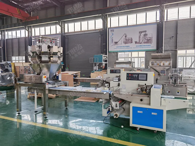 Detalhe Máquina de Embalagem 2
