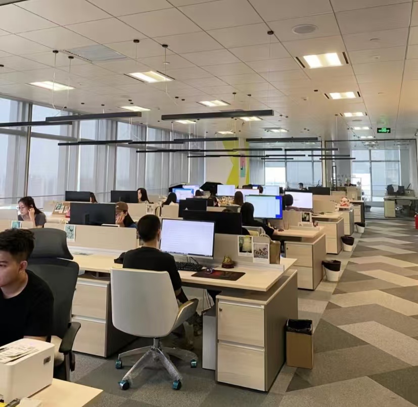 Company Operations 1