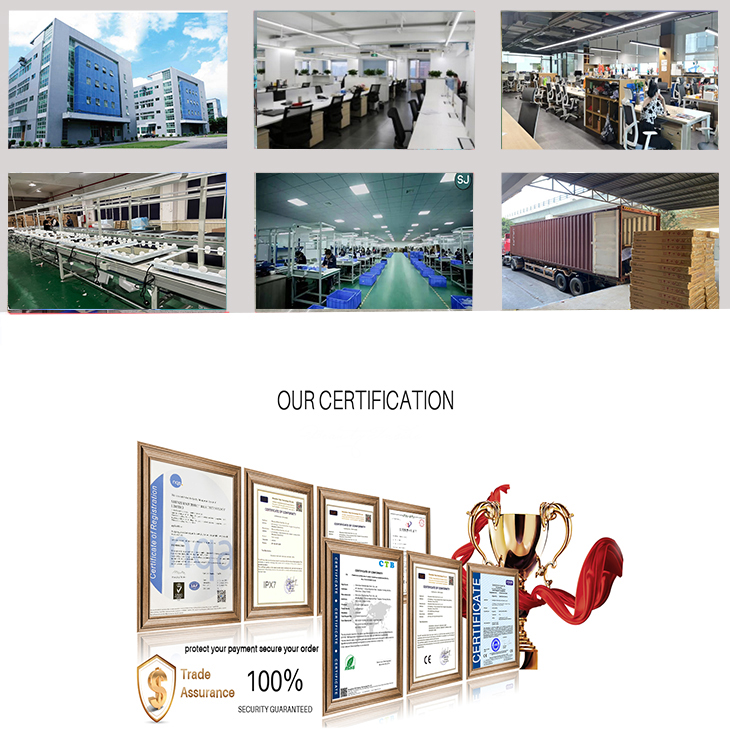 Production Facility Profile