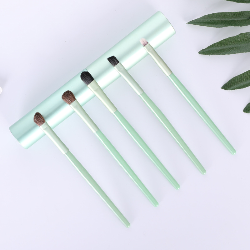 Mini Makeup Brushes Set with Case Included Eyeshadow, Eyebrow, Eyeliner, Lip Esg13922