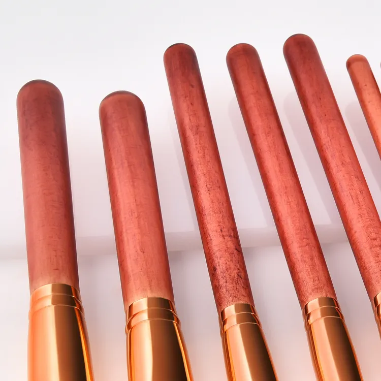 Professional 14PCS Makeup Brush Set for Powder Foundation Blush Eyeshadow Eyeliner and Lip
