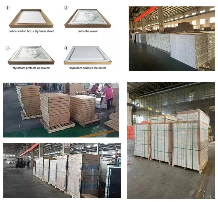 Car Sunshade Vanity Mirror Packaging Details