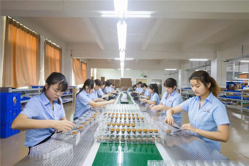 Guangdong NTC Beauty factory floor with modern manufacturing equipment