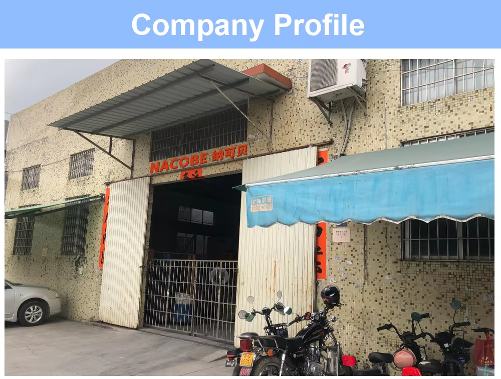 Company Introduction