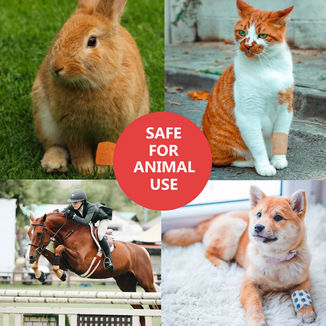 Pet Cohesive Bandage