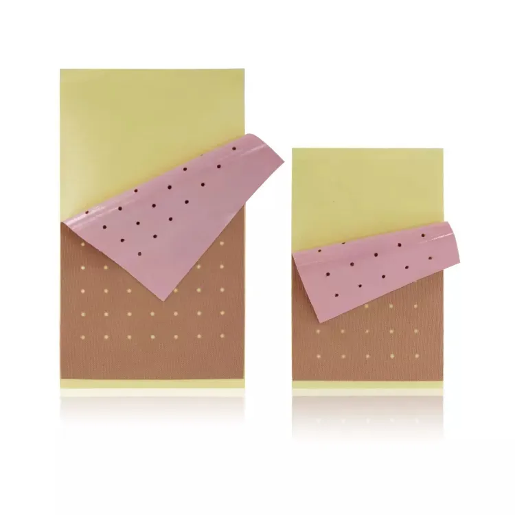 Pain Relief Plaster 2