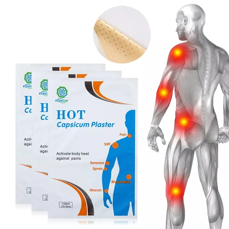 Pain Relief Plaster 9