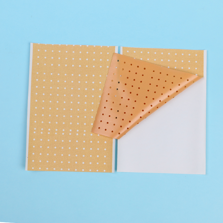 Medicated Hot Chilli paper Plaster