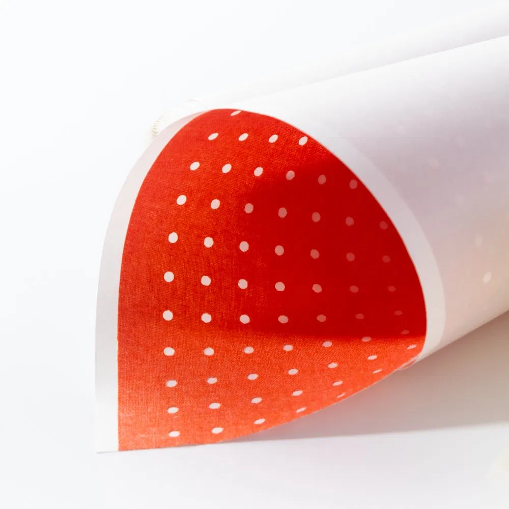 High Quality Surgical Medical Zinc Oxide Perforated Plaster