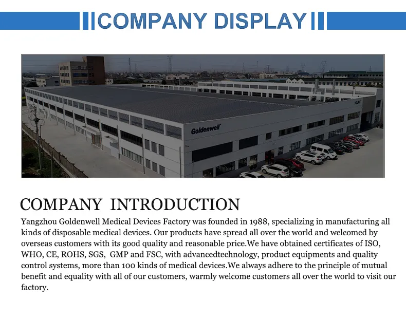 Triangular Bandage 6