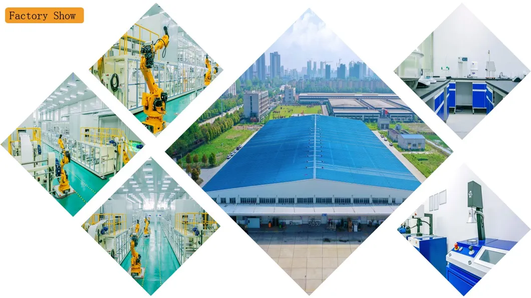 Manufacturing Capability