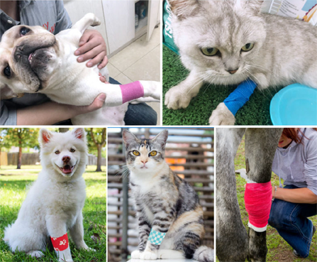 Anti-Allergy Veterinary Cohesive Wrap Bandage