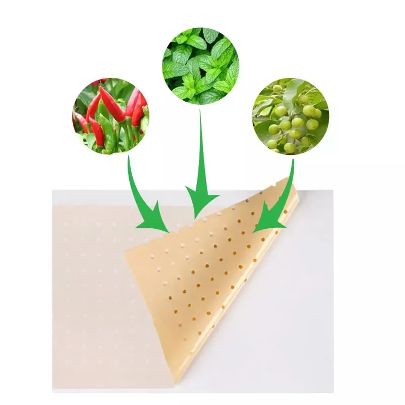 Pain Relief Plaster 8