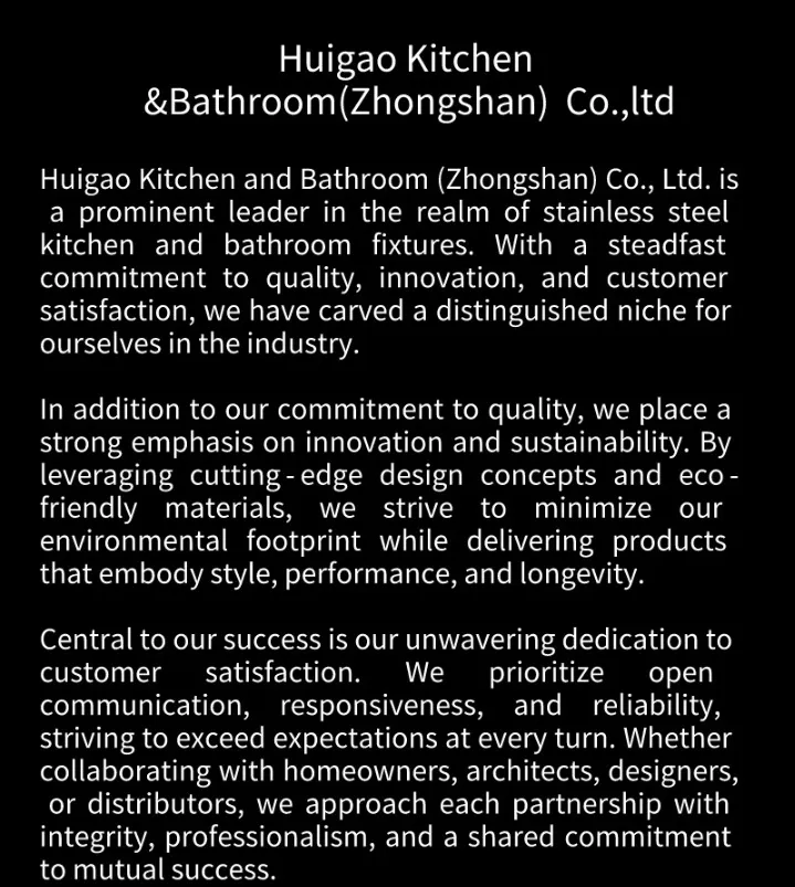 Black Stainless Steel Sink 6