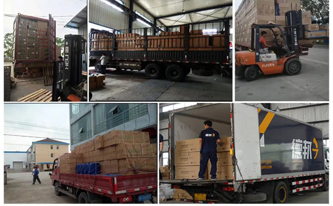 Packaging and Logistics