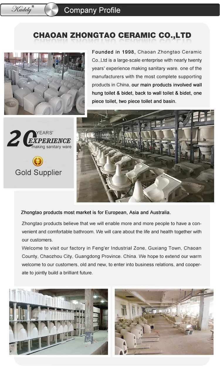 Quartz Sink Color Variants