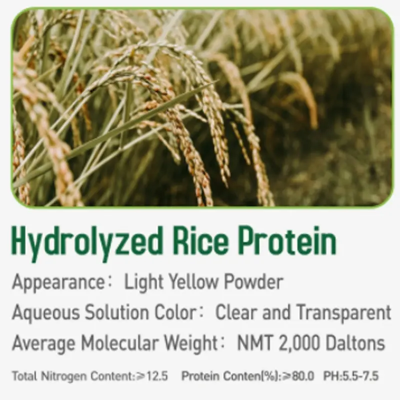 China Natural Hydrolyzed Rice Protein Manufacturers
