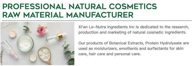 Lemon Balm Leaf Extract Ingredient