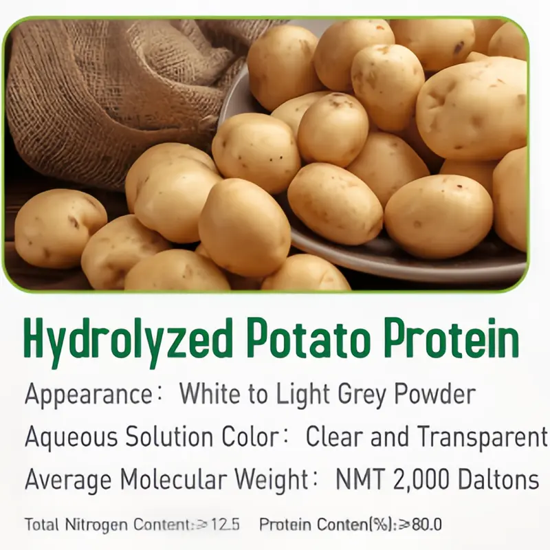 Wholesale Premium Hydrolysed Potato Protein Powder for Cosmetics Manufacturers, Factories