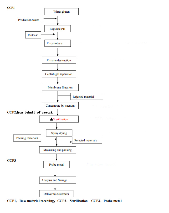 HWP process flowchart