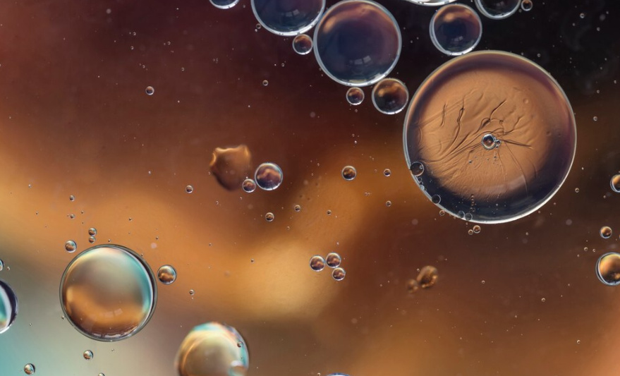 Milk Thistle Extract Powder