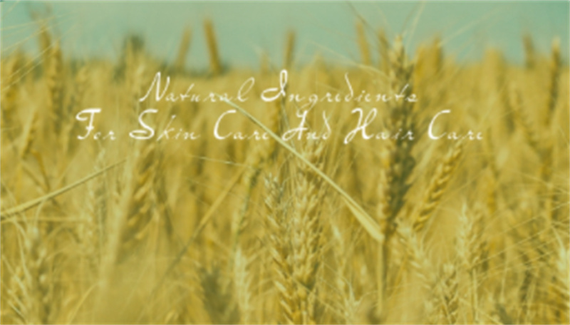 Hydrolyzed Wheat Protein Introduction