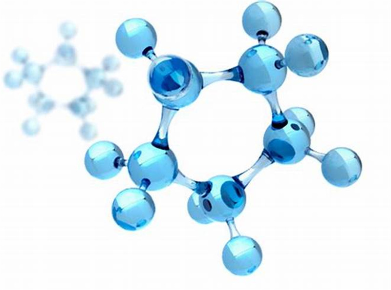 S-Adenosyl Methionine Powder