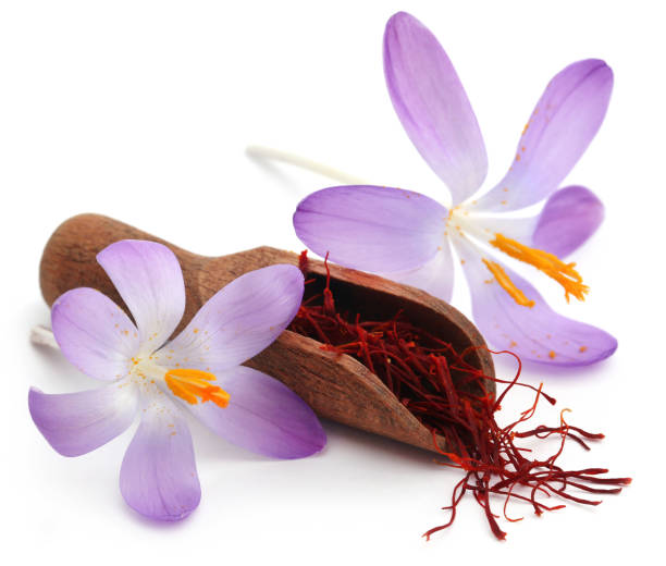 Saffron Extract Safranal Powder