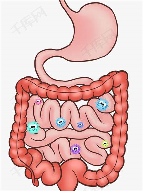Pea Protein Application