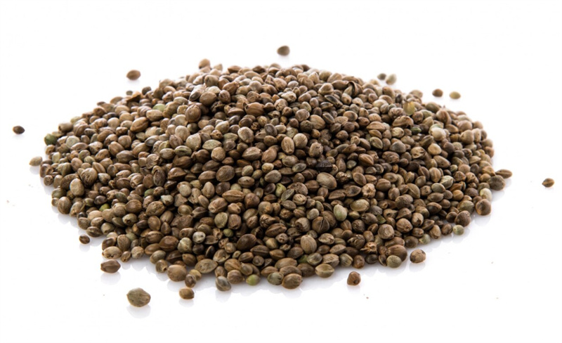 hemp-seed-protein-powder-1