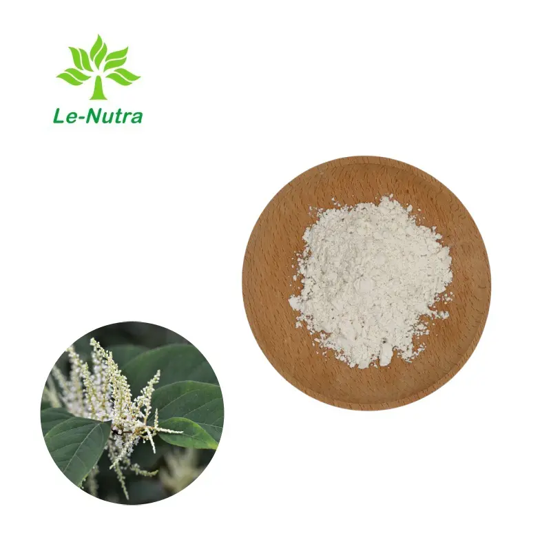 Wholesale Giant Knotweed Extract Resveratrol Powder for Supplement Supplier, Pricelist