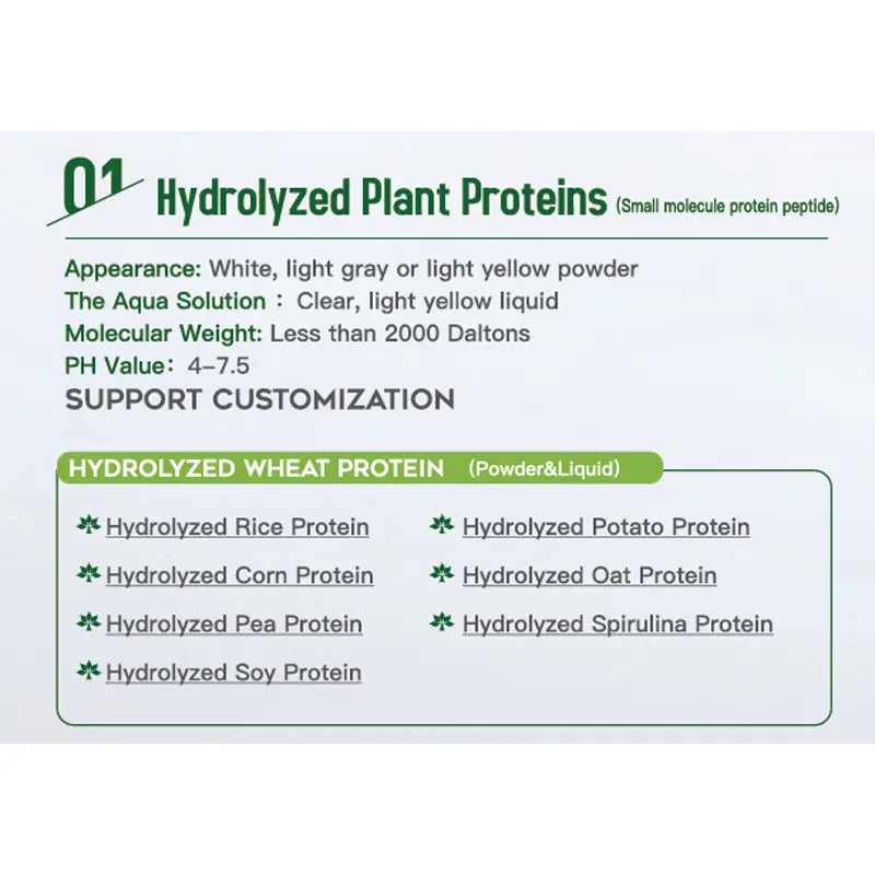 Buy Natural Vegan Hydrolysed Rice Protein For Hair&Skin Care Factories, Exporter