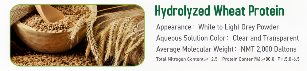 Hydrolysed Wheat Protein Powder