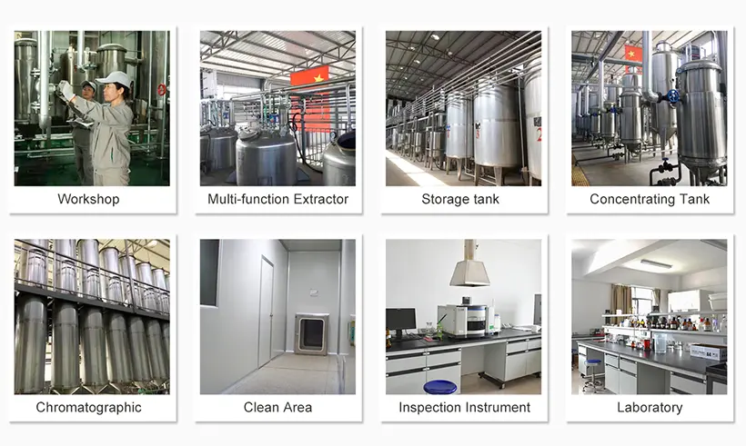 OEM Blue Copper Peptide Factories, Factory