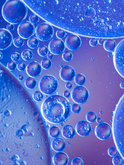 Pentadecylic Acid Functions