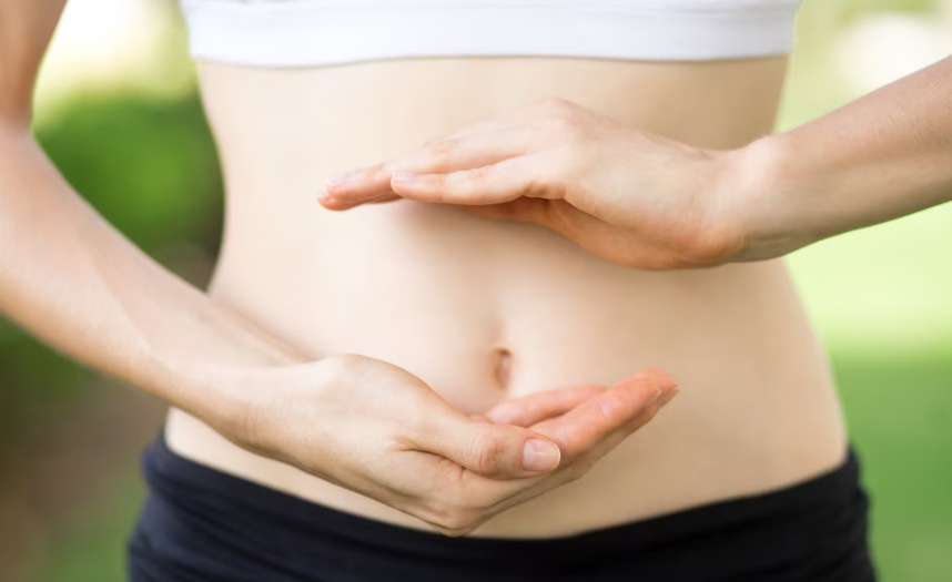 Milk Thistle Extract Silymarin