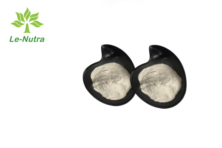 OEM Sea Cucumber Polypeptide Manufacturers, Manufacturer