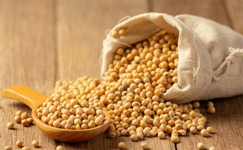 Soy Isolate Protein Powder Applications